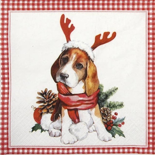 Julservett från PAW - *Julhund* - Beagle