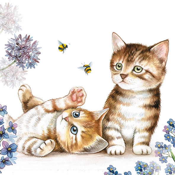 Servett från Ambiente - *Katter & Bin* - *Cats and bees*