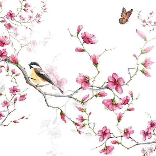 Servett från Ambiente - *Fåglar & Blommor* - *Birds and Blossom*