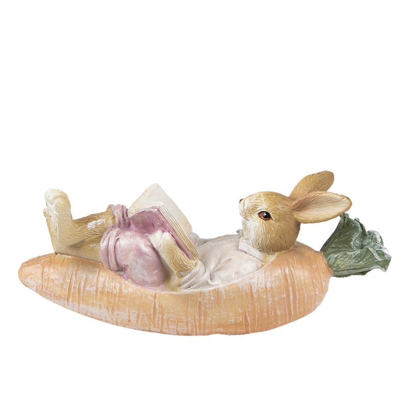 Kanin i morotsbåt