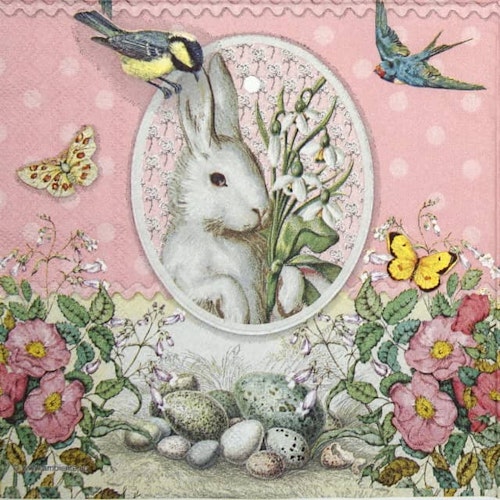Påskservett från Ambiente - *Vit kanin/rosa*