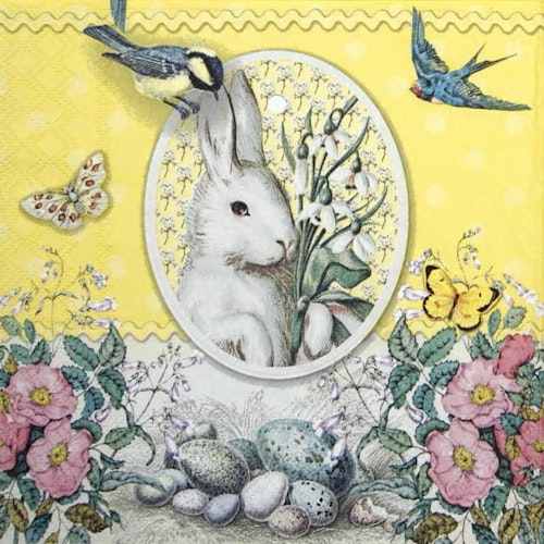 Påskservett från Ambiente - *Vit kanin/gul*