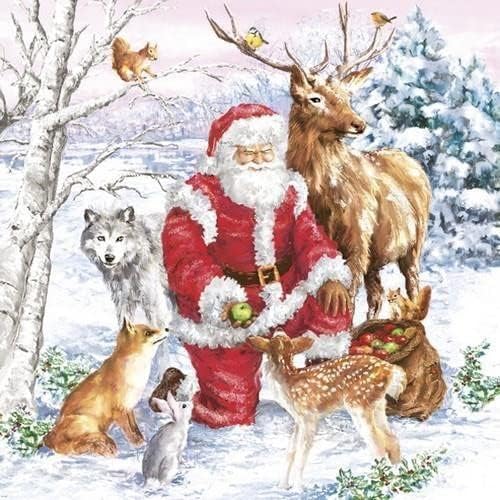Julservett från Inicio - *Tomten med sina djur* - Santa & Animals