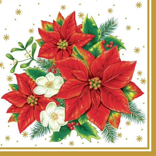 Julservett från Inicio - *Julstjärna, vit* - Poinsettia white