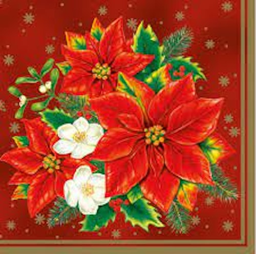 Julservett från Inicio - *Julstjärna, röd* - Poinsettia red