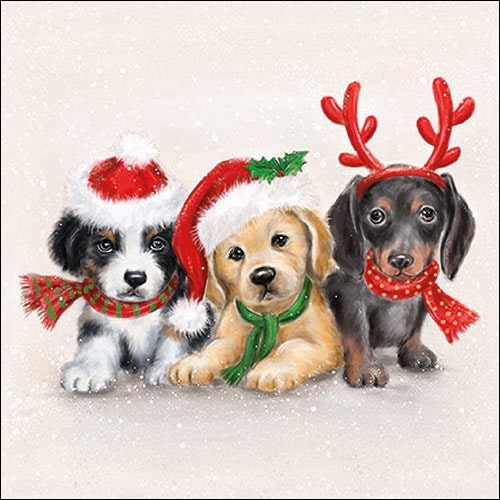 Julservett från Ambiente - *Söta hundar* - Sweet dogs