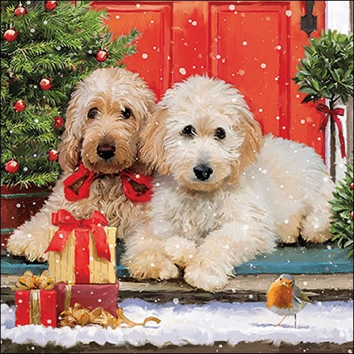 Julservett från Ambiente - *Hundar vid dörren* - Dogs at the door