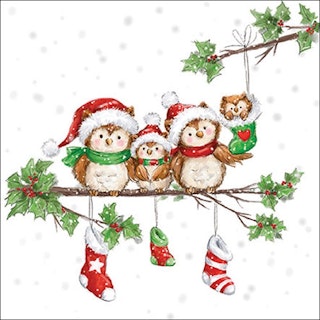 Julservett från Ambiente - *Ugglefamilj* - Owl family