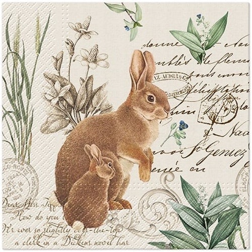 Påskservett "Kaniner" från PAW