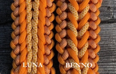 S Benno/Luna (20-39 cm)