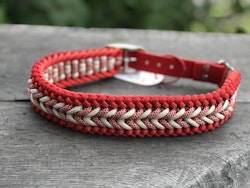 M Benno´s/Luna´s (40-49 cm)