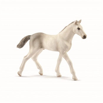 Schleich Holsteiner, föl