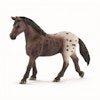 Schleich Appaloosa Sto