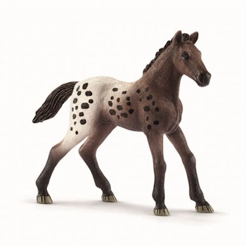 Schleich  Appaloosa föl