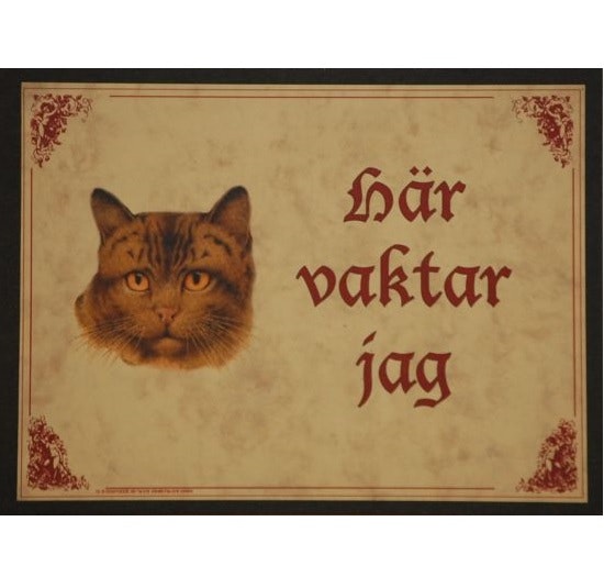 Tavla (kloka ord) "Katten vaktar"