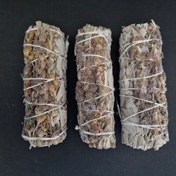 Salvia