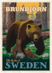 Postcard: Brown bear, (3 variants)
