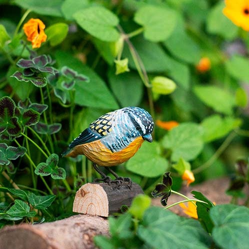 Handgeschnitzte Spotted Pardalote aus Holz