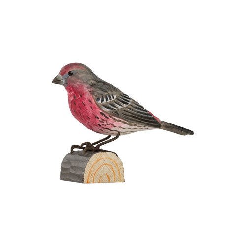 Hand-carved House finch in wood