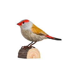Hand-carved Red-breasted Astrild in wood