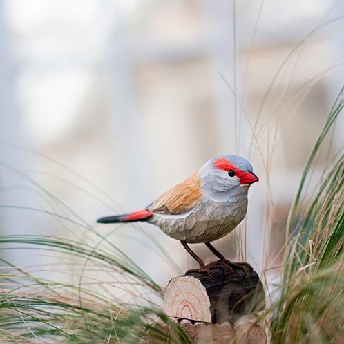 Hand-carved Red-breasted Astrild in wood