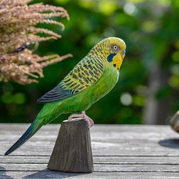 Hand-carved Budgerigar in wood