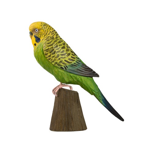 Hand-carved Budgerigar in wood