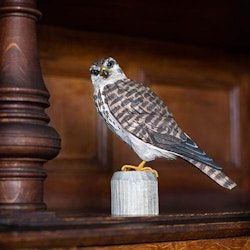 Hand-carved stone falcon in wood