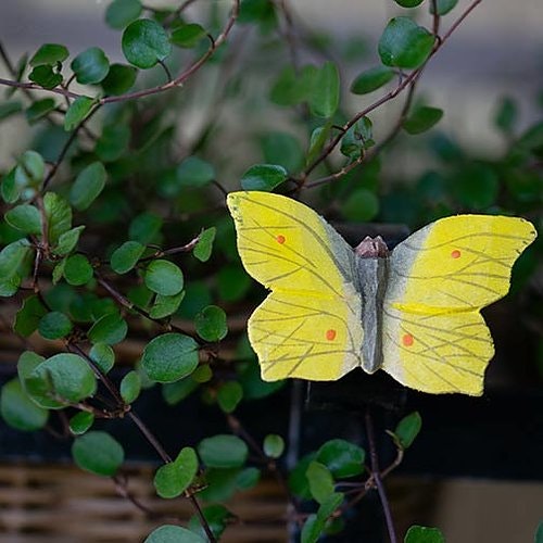 Magnet Zitronenschmetterling, handgeschnitzt