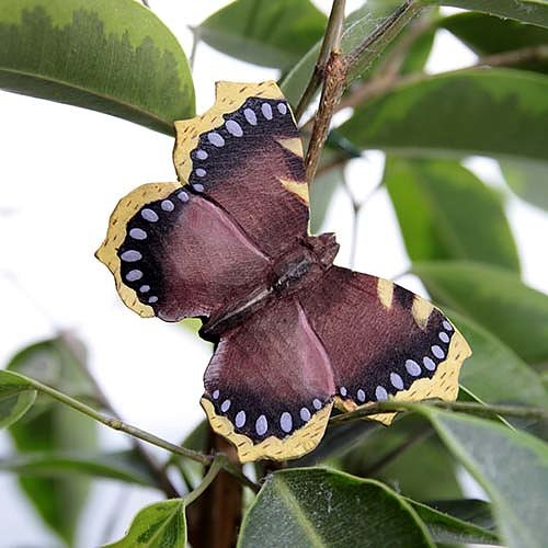 Magnet Mourning mantle, hand-carved