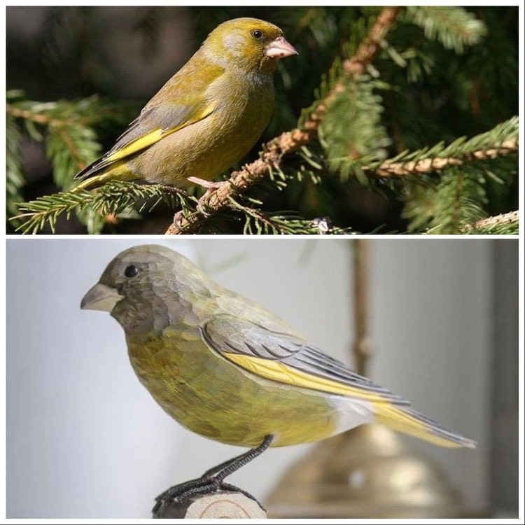 Hand-carved Greenfinch in wood