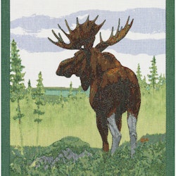 Moose handduk 35X50, 100% Ekologisk Bomull