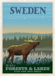 Postcard Moose Forests / Lakes (3 variants)