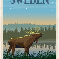 Postcard Moose Forests / Lakes 13x18cm