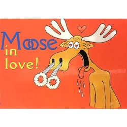 Postcard: Moose, 148 x 105 mm