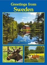 Vykort: Sweden, 148 x 105 mm