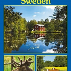 Vykort: Sweden, 148 x 105 mm