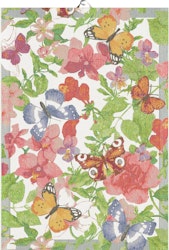 Summerfield handduk 35X50, 100% Ekologisk Bomull