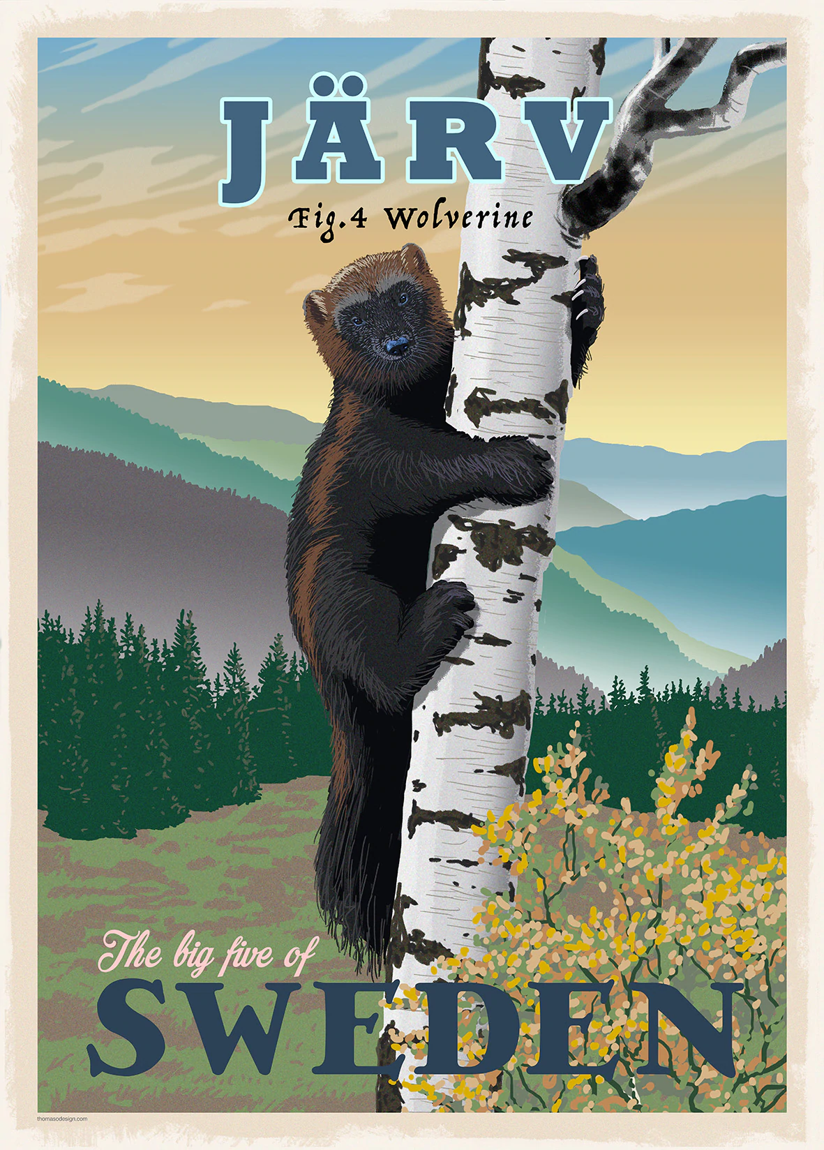 Postkarte: Wolverine, (3 Varianten)