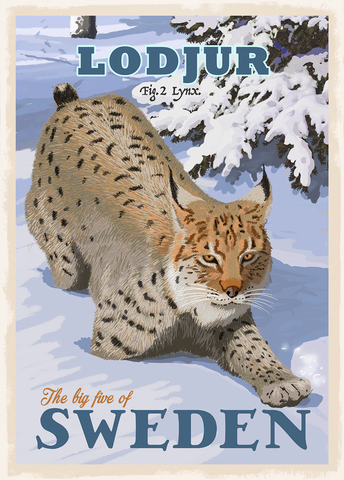 Postcard: Lynx, (3 variants)
