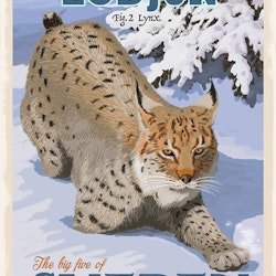 Postcard: Lynx, (3 variants)