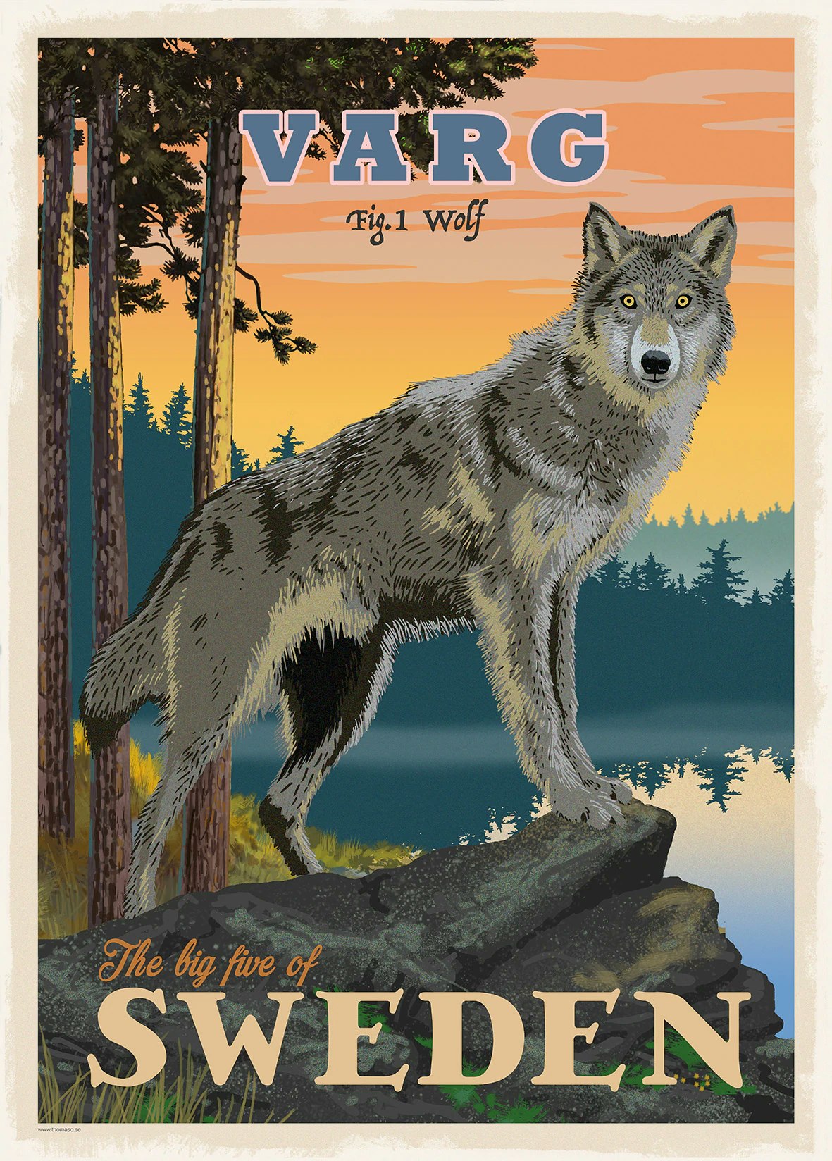 Postcard: Wolf, (3 variants)