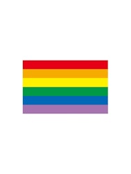 Dekal Prideflagga 11 cm