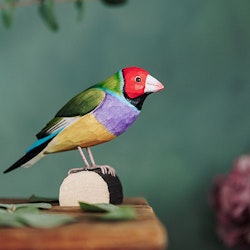 Hand-carved Gouldian Finch in wood
