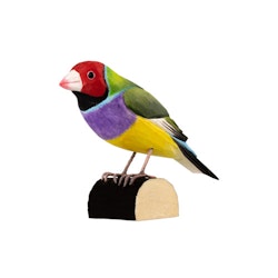 Hand-carved Gouldian Finch in wood
