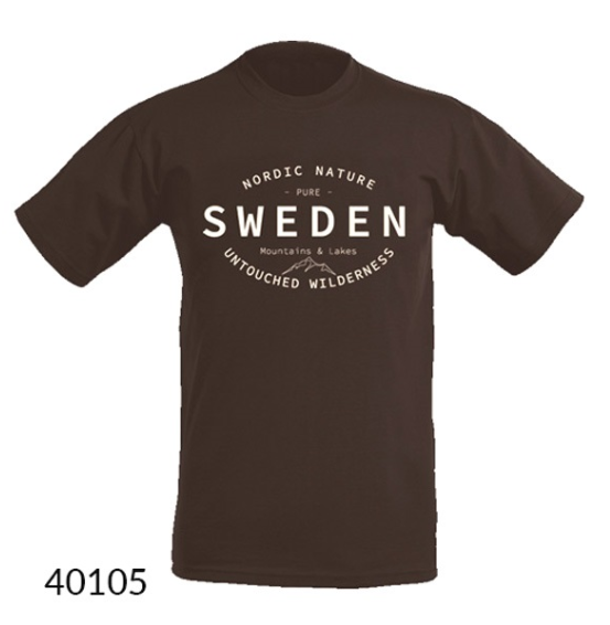T-shirt Sweden Backcountry, Brun