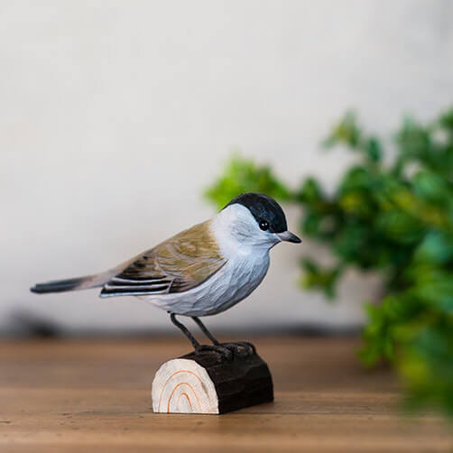 Hand-carved Blackcap in wood