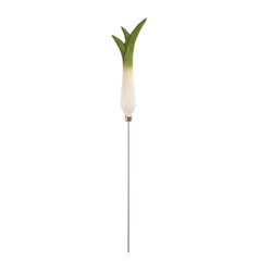 Test leek