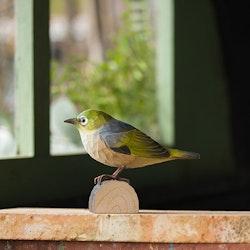 Hand-carved Grey-backed Spectacled bird in wood
