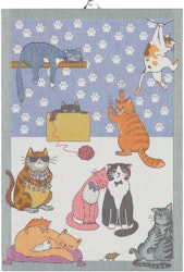 Cats fun handduk 35X50, 100% Ekologisk Bomull